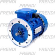 MOTOR ELC 05.5CV 4.0 KW 1500 RPM III 380V 100B5