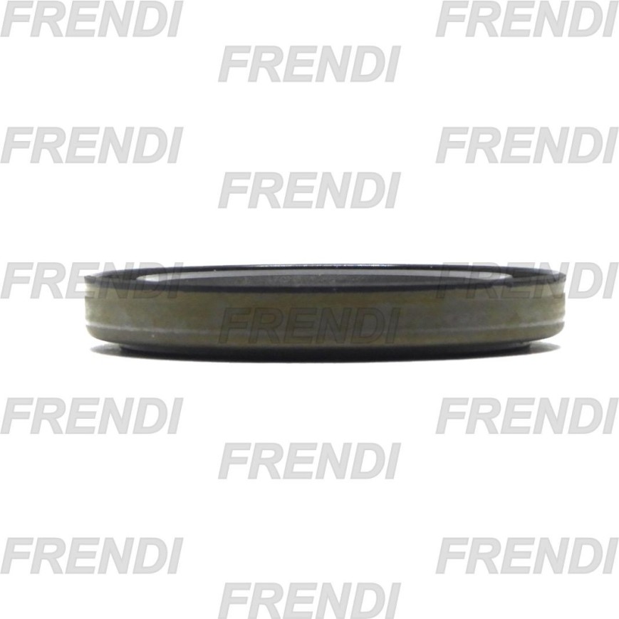 RETEN NBR B 065X085X12 A