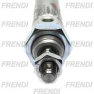 MINICILINDRO MAG 020X020 24N2 CZ