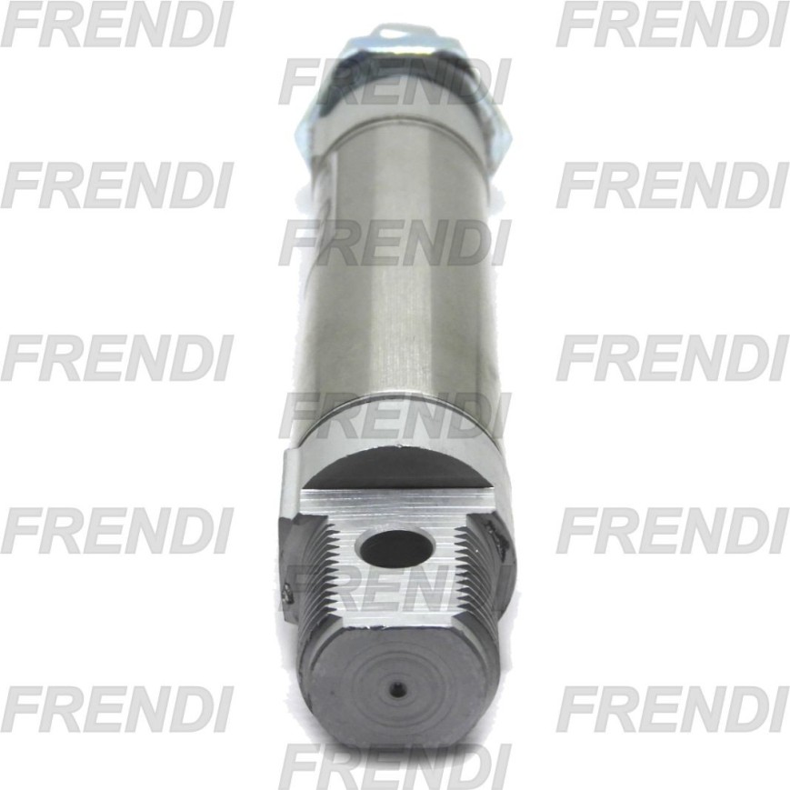 MINICILINDRO MAG 020X020 24N2 CZ