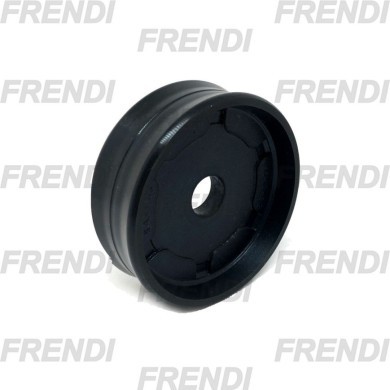 PISTON NE 100X020X026