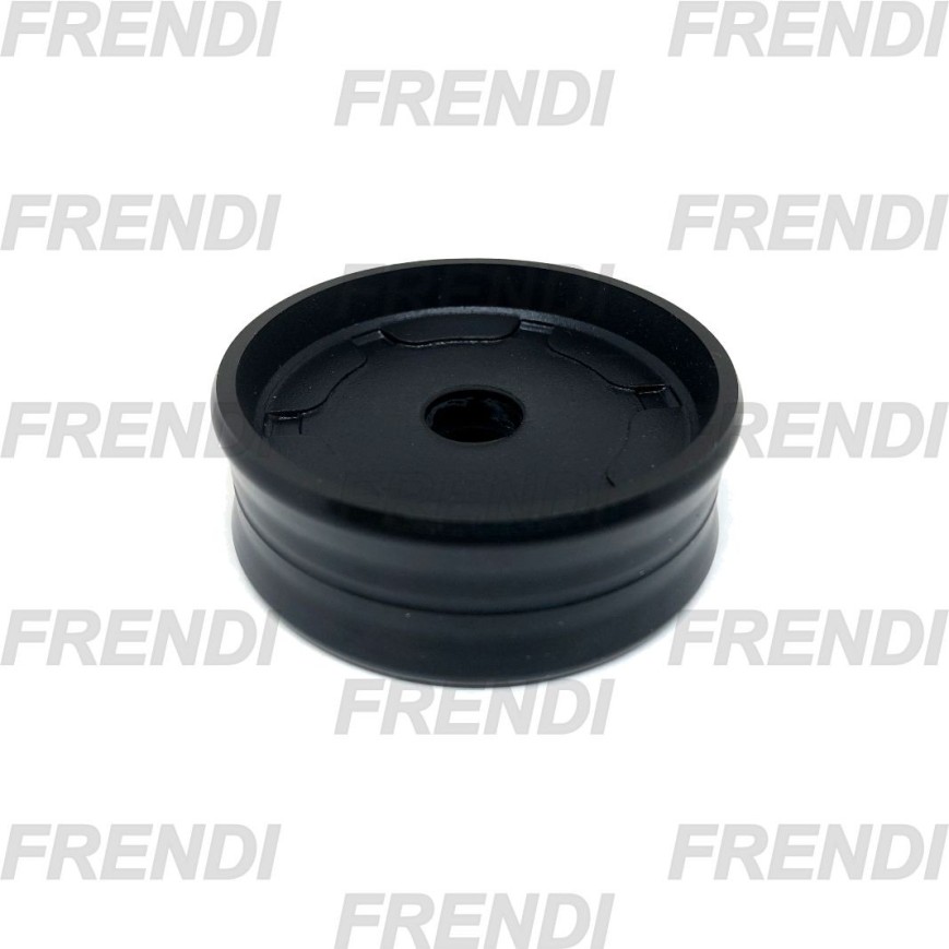 PISTON NE 100X020X026