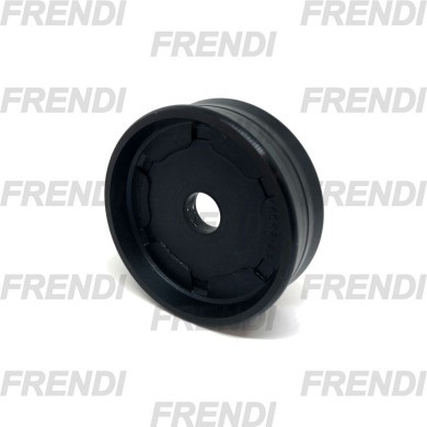 PISTON NE 100X012X025