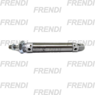 MINICILINDRO MAG 025X300 25N2 CZ