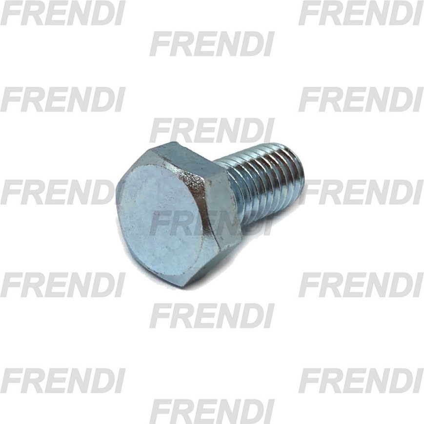 TORN HEXAGONAL M06X012 P100 DIN933 8.8 ZN