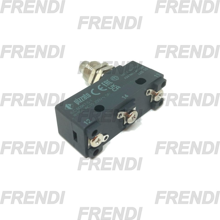 MICROINTERRUPTOR MS-10