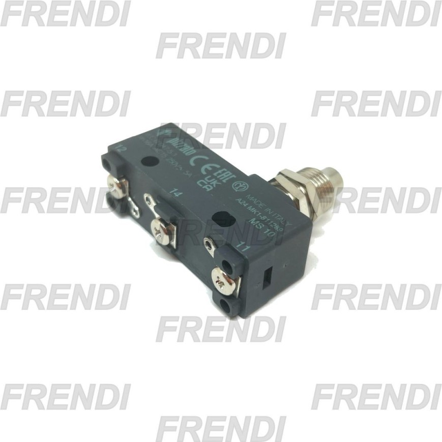 MICROINTERRUPTOR MS-10