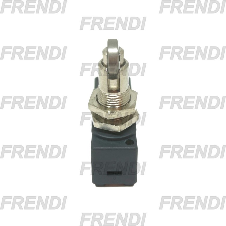 MICROINTERRUPTOR MS-15