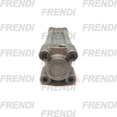 CILINDRO NE MAG 063X300 63MP2 CZ