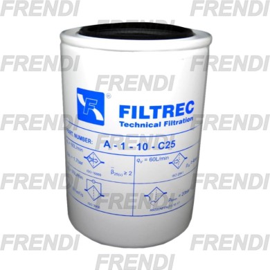 FILTRO HI CARTUCHO LINEA T21 125 MICRAS 1 1/4 BSP FILTREC