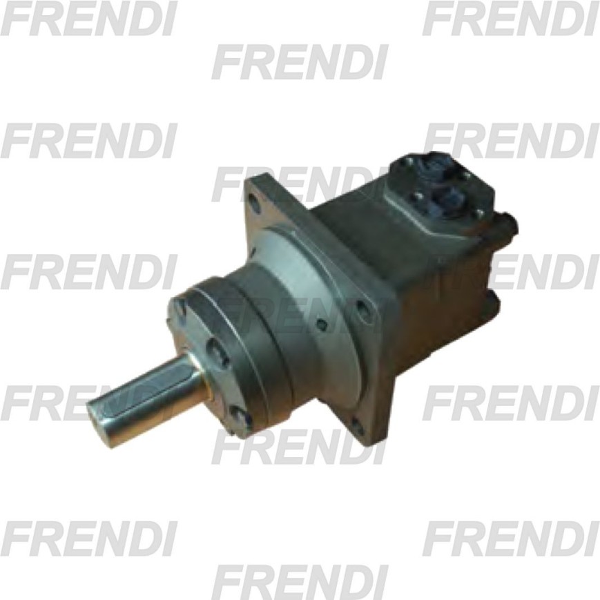 MOTOR HIDRAULICO MPT/MTW W 250 C40 MRG