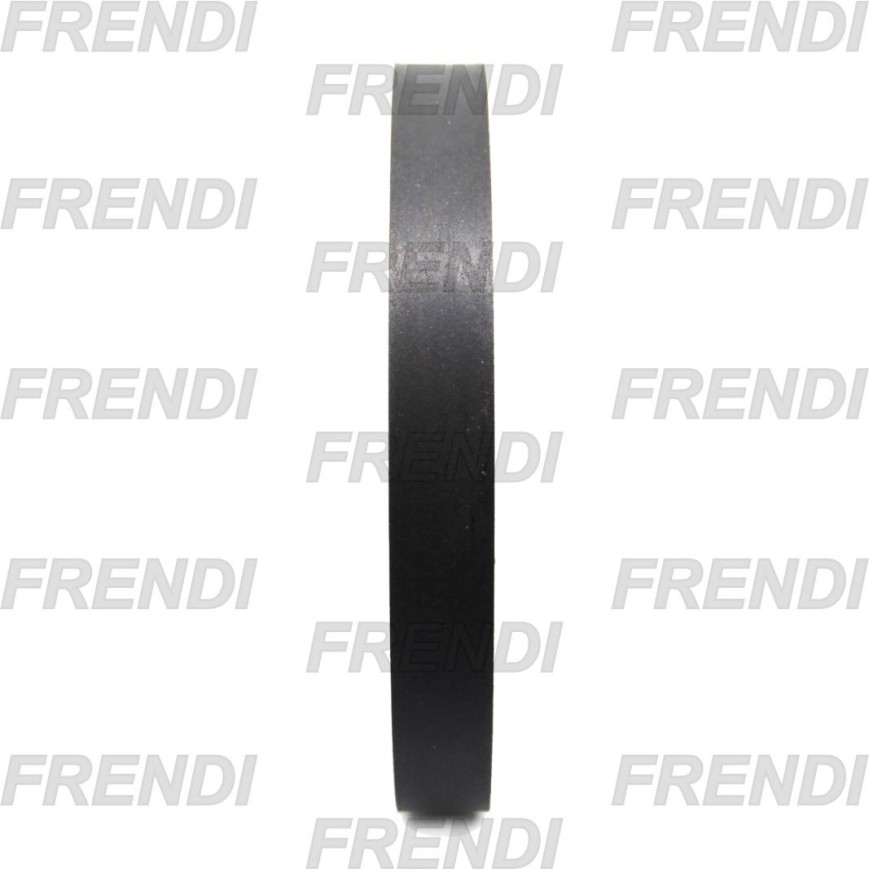BANDA GUIA 020X002.5 JB22