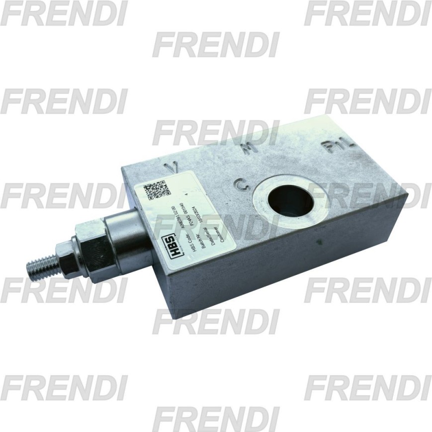 VAL LIMIT EV1197 A060391.02.00 PALFINGER