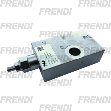 VAL LIMIT EV1197 A060391.02.00 PALFINGER