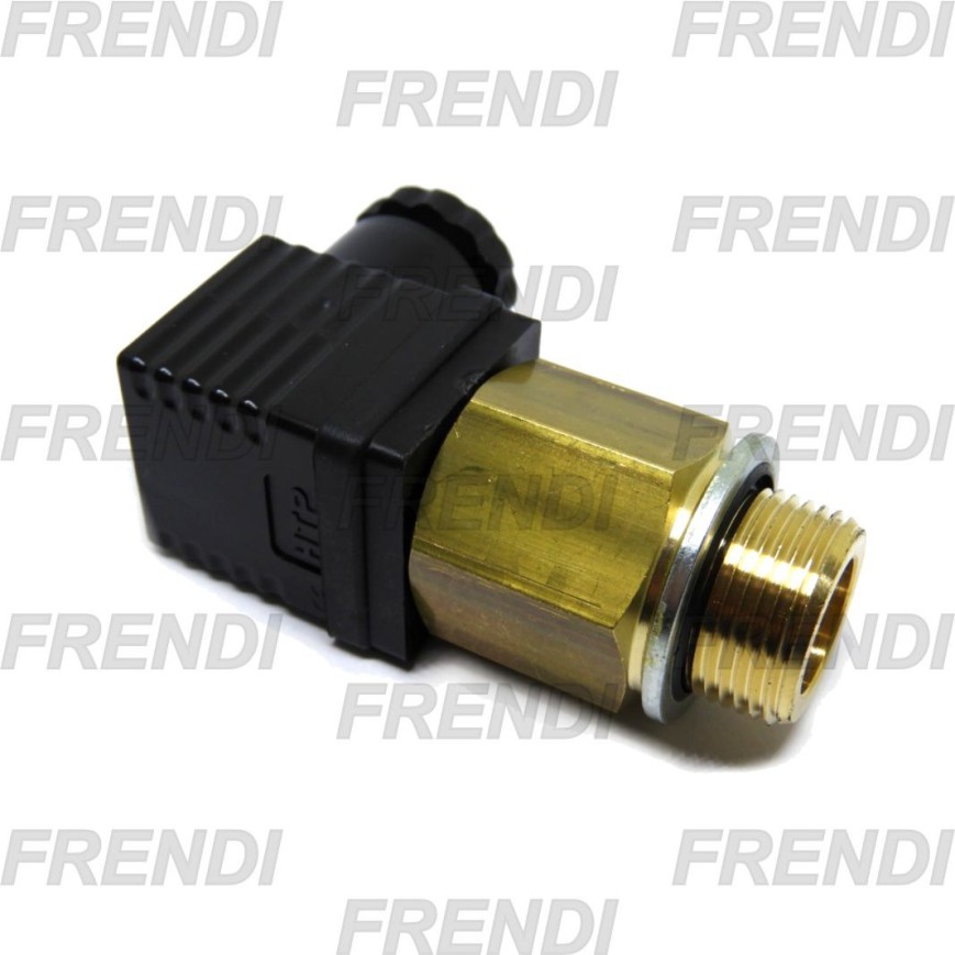 TERMOSTATO 50º-60º M22X150 IP65 CONECTOR B&P