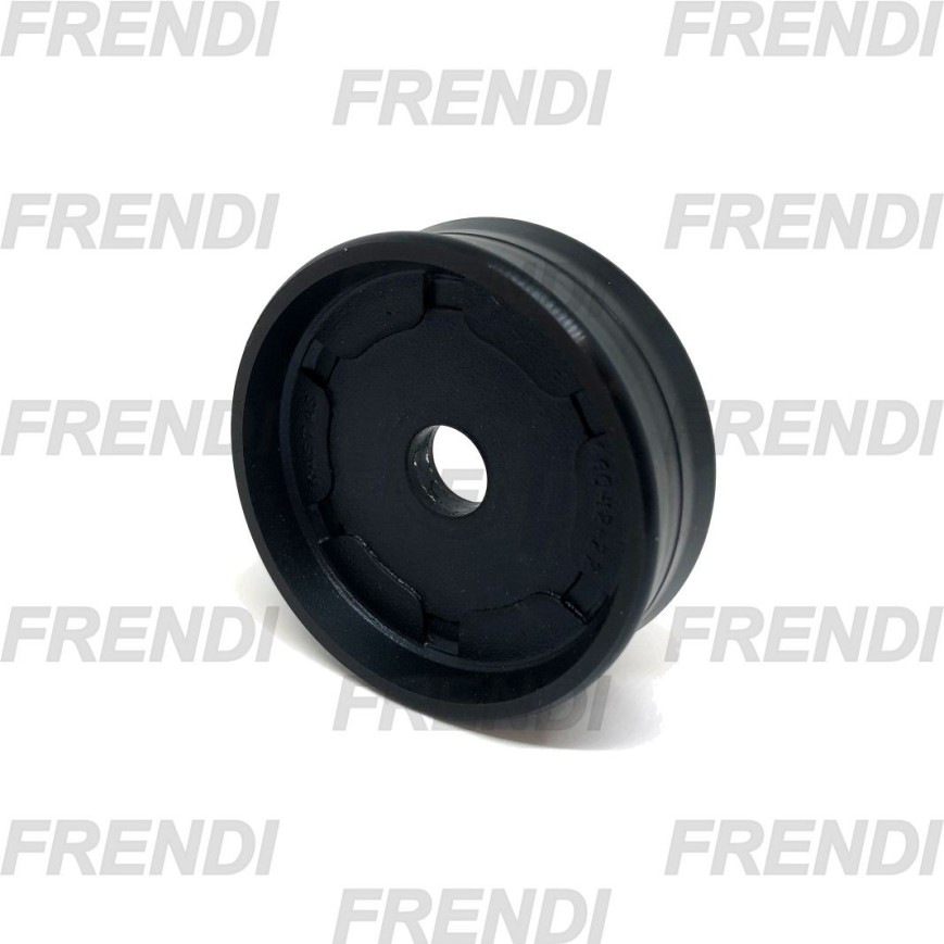 PISTON NE 100X019X026 CZ