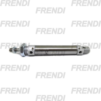 MINICILINDRO MAG 025X300 25N2 CZ