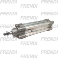 CILINDRO NE MAG 050X025 63MP2 CZ