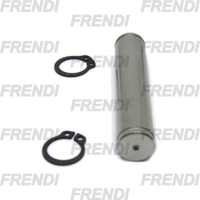 BULON NE CHARNELA CD63 CZ BULON NE CHARNELA CD63 CZ