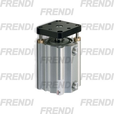 MINICILINDRO MAG 020X010 QPR CZ