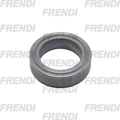 ANILLO DE ESTANQUEIDAD MANO 1/4 BSP
