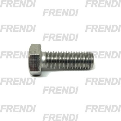 TORN HEXAGONAL M06X020 P100 DIN933 A2 INOX