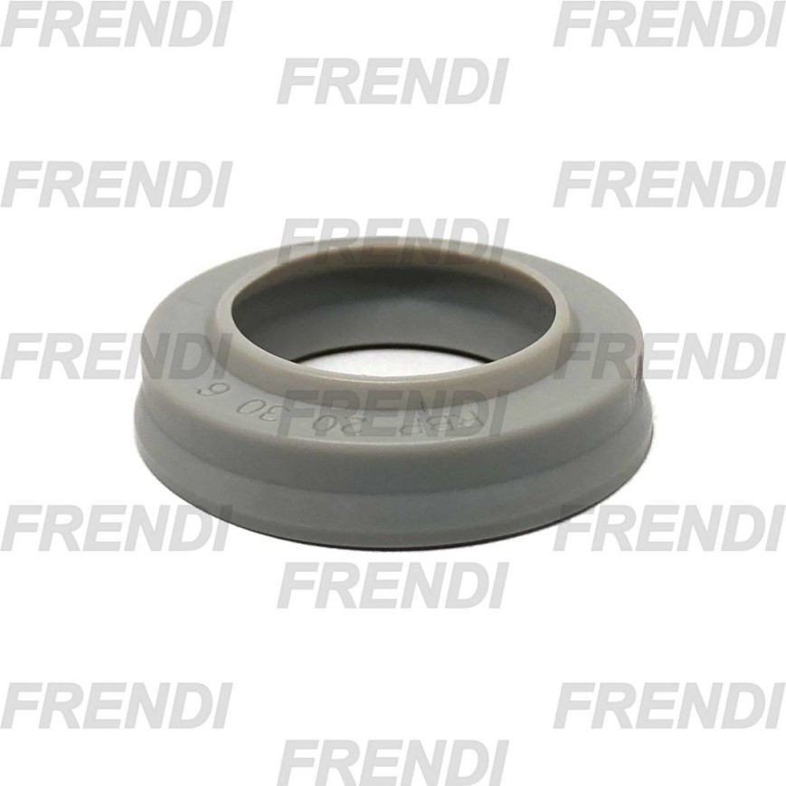 RASCADOR COLL 025X035X06 PIW