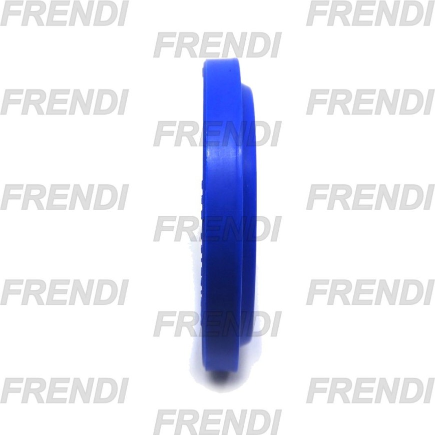 RASCADOR POL 050X058X04/06 K06