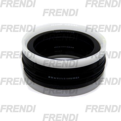 JUNTA PISTON 100X085X020.0X30.0 TPM