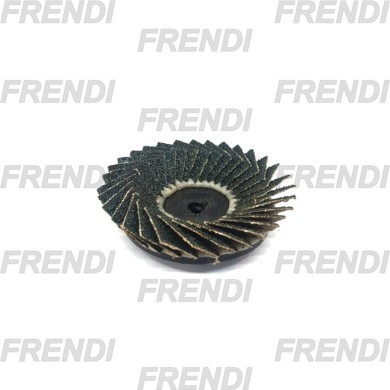 DISCO 50 P-060 FLEXI FLAP TR R828 NT