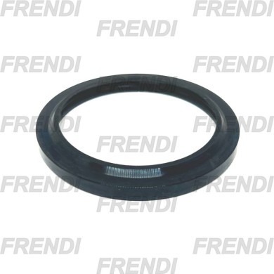 RASCADOR NBR 050X062X05/07 K06