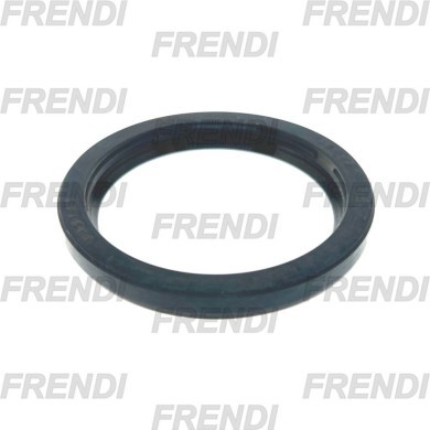 RASCADOR NBR 050X062X05/07 K06