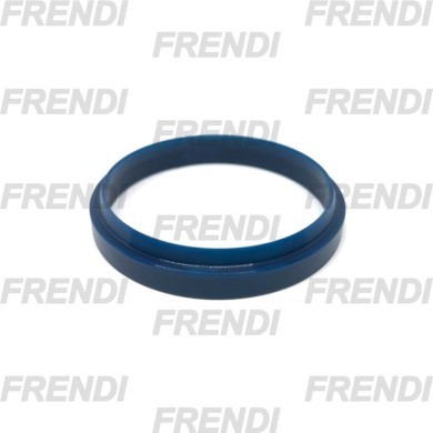 RASCADOR POL 050X056X06/09 FBR