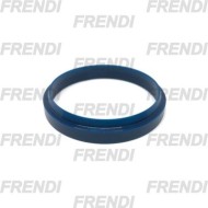 RASCADOR POL 050X056X06/09 FBR