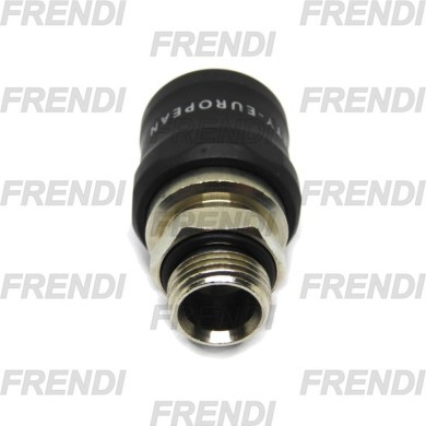 ENCHUFE RAP NE HEM D05.5 3/8 BSPP RM DIN SEG