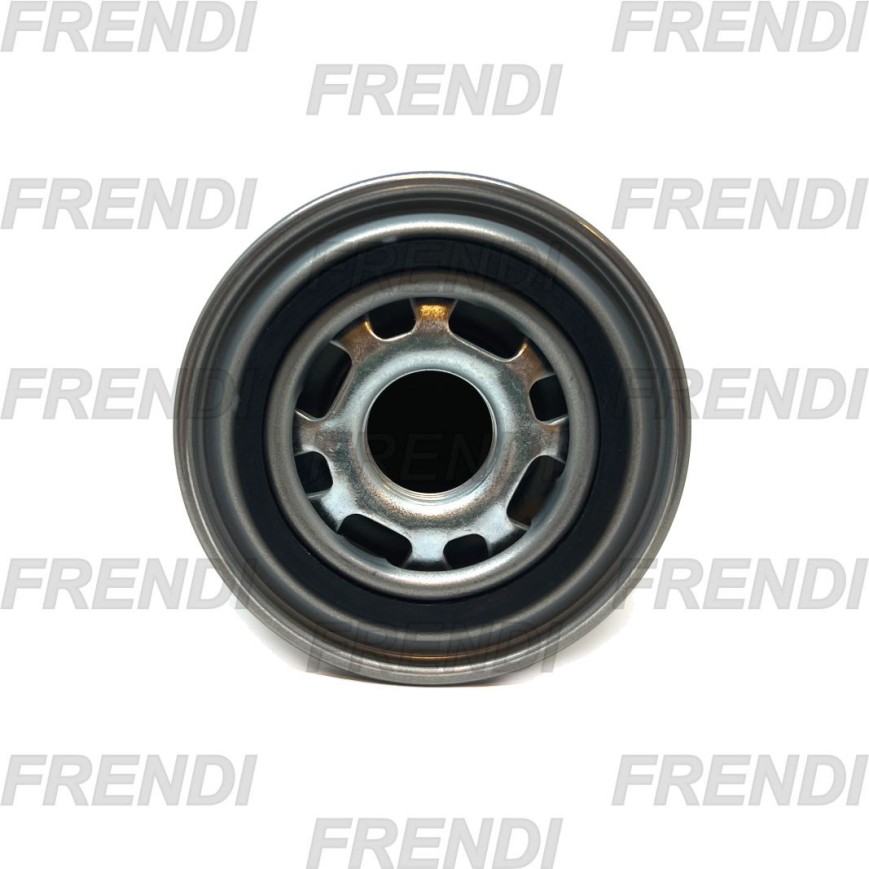 FILTRO HI CARTUCHO LINEA T10 125 MICRAS 3/4 BSP HIFI