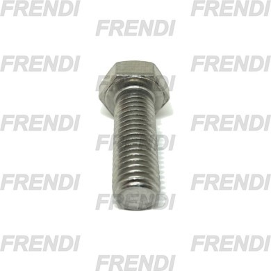 TORN HEXAGONAL M06X010 P100 DIN933 A2 INOX