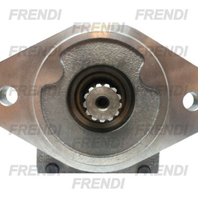 BOMBA HI PGP517A0250AD 43 L/MIN PARKER