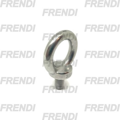 ARGOLLA MACHO M10 DIN580 INOX A2