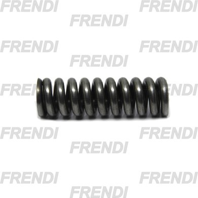 MUELLE VAL LIMIT 175-250 BAR 5RLL