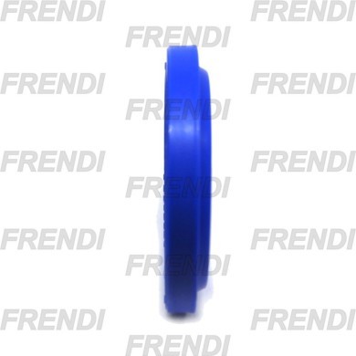 RASCADOR POL 055X065X05/07 K06
