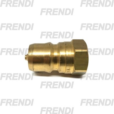 ENCHUFE RAP HI MACHO 1/4 BSP DN06 ISOB LATON