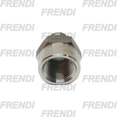 ADPT NE RCT MF-HF 1/4-3/8 RDC BSPT A316 INOX