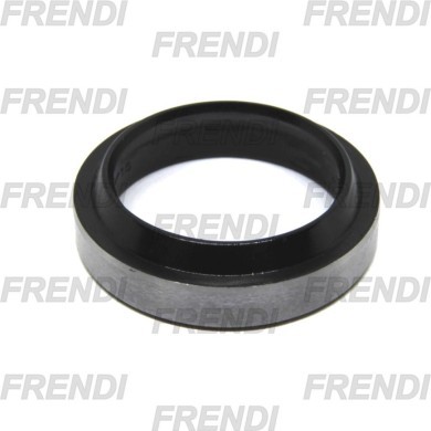RASCADOR NBR 016X022X03/04 AS W12
