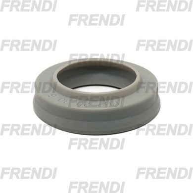 RASCADOR COLL 025X035X06 PIW