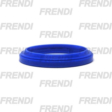 RASCADOR POL 052X060X04X07 K09 KTS