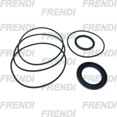 JUEGO JUNTAS MOTOR HI OMS 151F0111 DFS